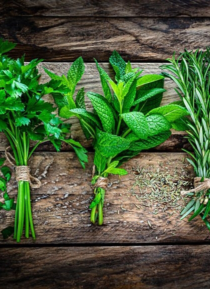 Yrtit ovat osa ruoanlaittoa 